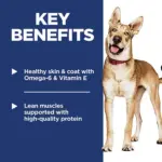 Adult Dog Food Chicken-Hill's Science Diet