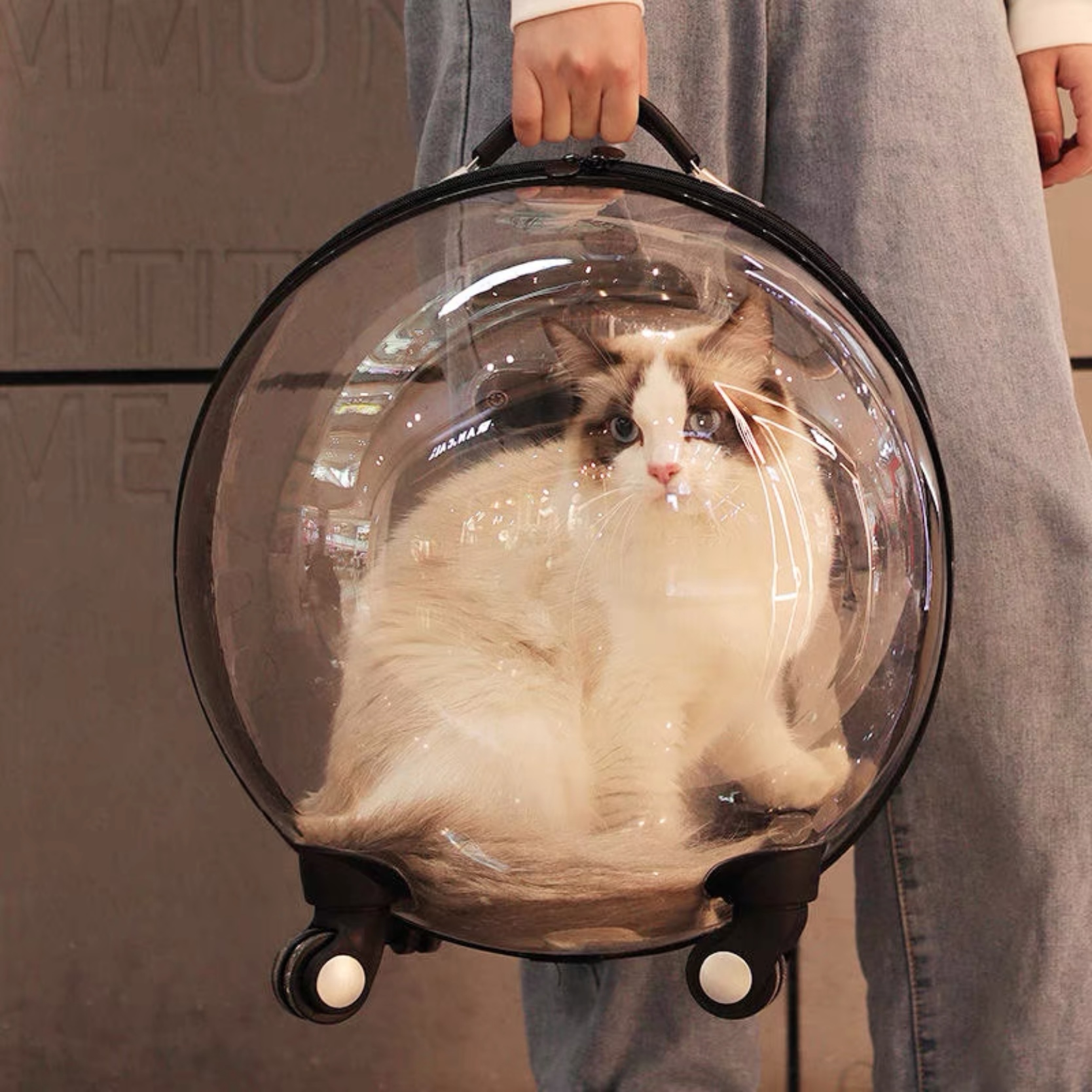 pet carrier bags for small dogs - Professional Guide and Review