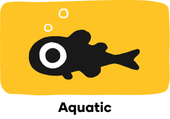 da bird cat toy australia - Professional Guide and Review