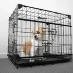 Sliding Door Dog Crate - Image 8