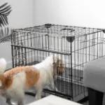 Sliding Door Dog Crate - Image 4