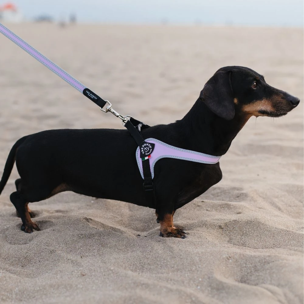 disassembled gravity cat feeder parts being washed in kitchen sink