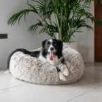 wicker dog beds|chicken hearts for dogs