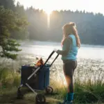 Ibiyaya BigBuddy Pet Stroller and Crate Combo, Crystal Teal - Image 7