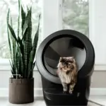 Automatic Litter-Robot 4, Black - Image 4