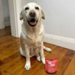 laser toys - Professional Guide and Review