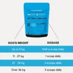 leather kitten collar - Professional Guide and Review