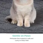 Cleo Internal Cat Litter Mat - Two-Piece Set - Image 6