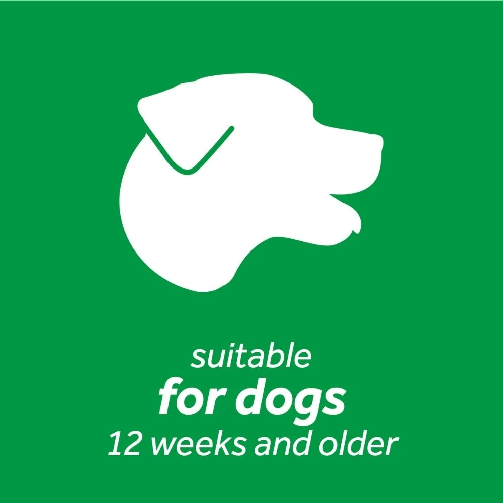 cat tree huge - Professional Guide and Review