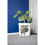 Moderna Hidden Planter Litter Box, Soft White - Image 2