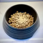 ceramic pet drinking fountain - Professional Guide and Review