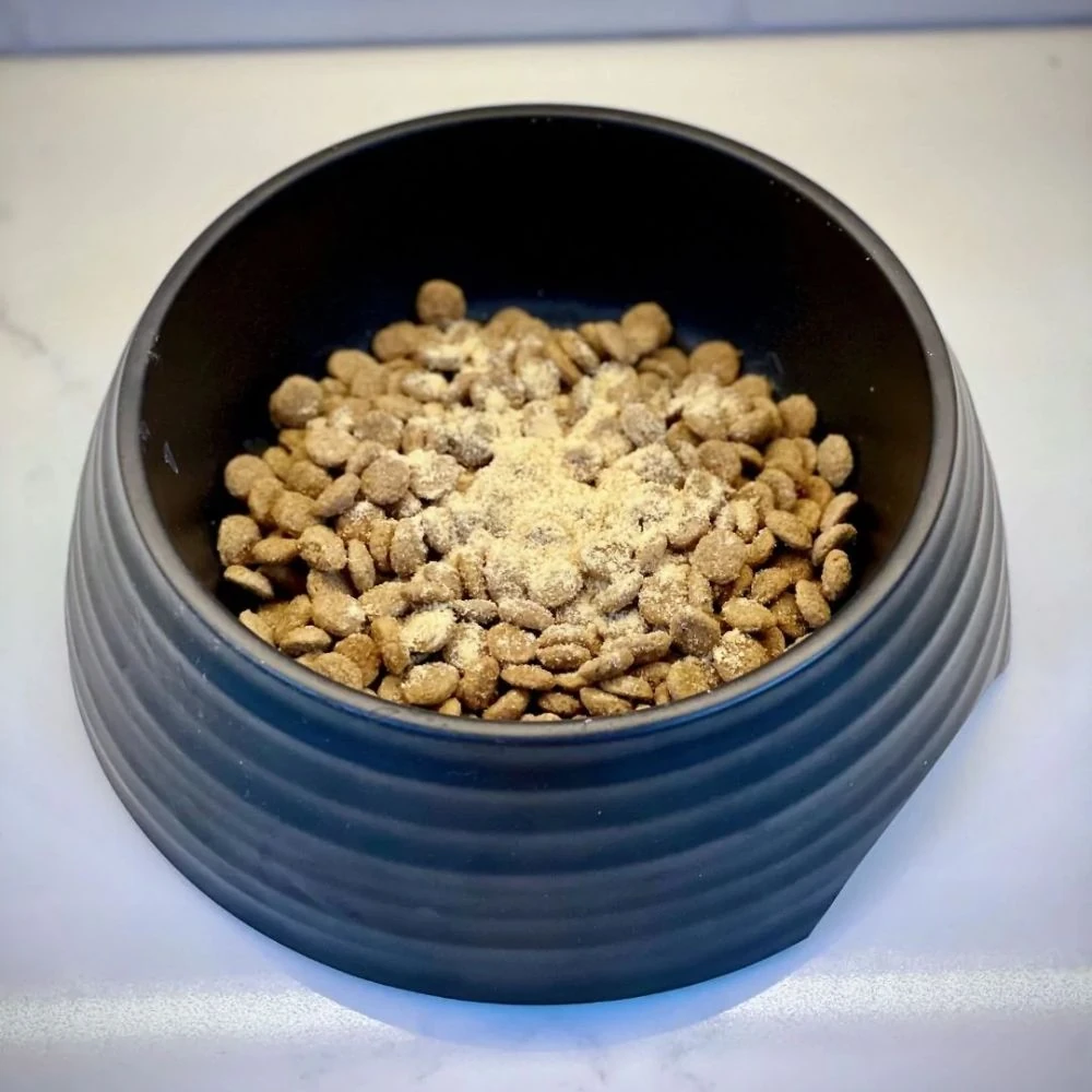 ceramic pet drinking fountain - Professional Guide and Review