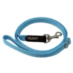 retractable dog lead for large dogs - Professional Guide and Review