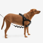 brown dog harness|contemporary dog kennel - Image 5