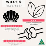 wheeled pet carriers for cats|ibiyaya pet stroller australia - Image 3