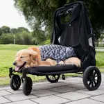 Ibiyaya Grand Cruiser Large Dog Stroller - Image 10