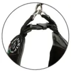 dog harness with names - Professional Guide and Review