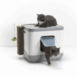 raincoat cat - Professional Guide and Review