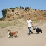 presents for pet owners - Professional Guide and Review