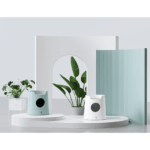 kitter litter tray - Professional Guide and Review