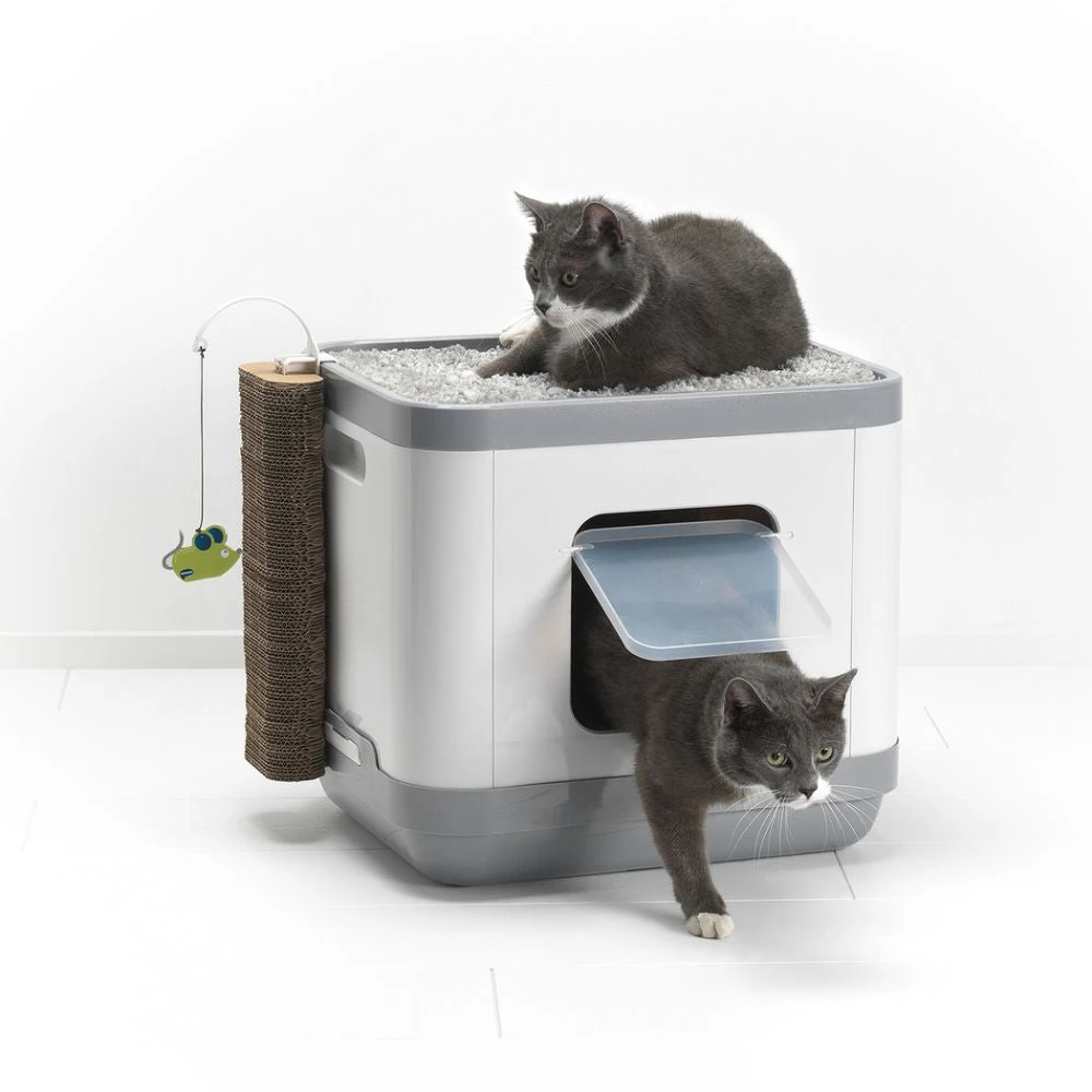 cat litter box next to dog watering bowls for multi-pet homes