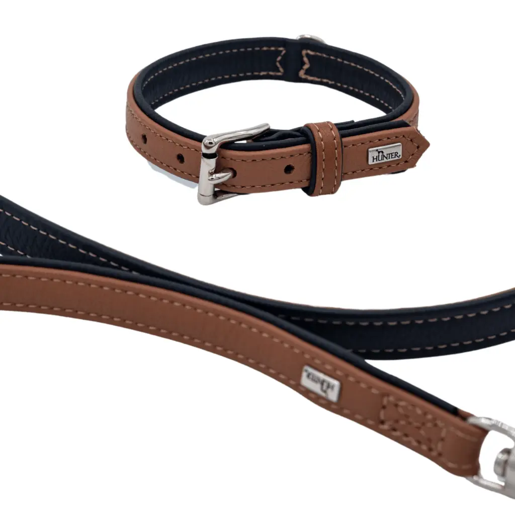 best dog leash australia - Professional Guide and Review