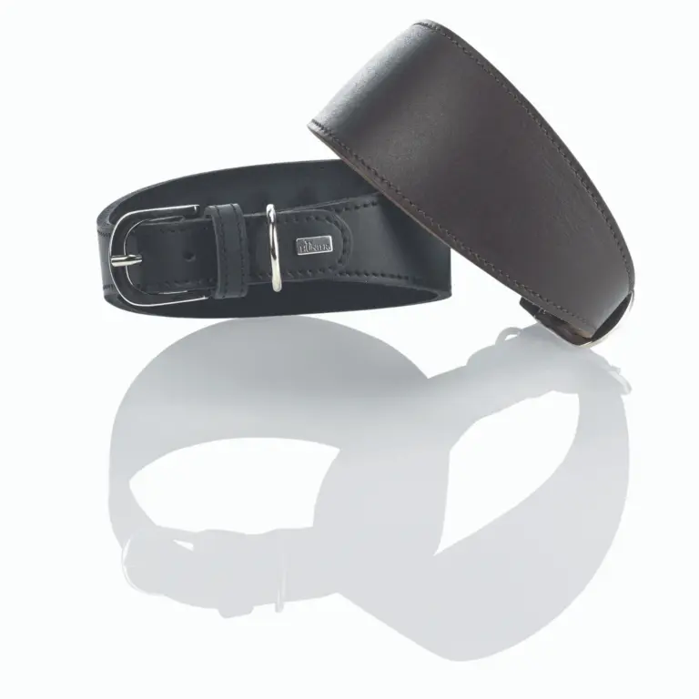 tunnel for cats - Professional Guide and Review