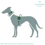 pet carrier for 2 cats - Professional Guide and Review