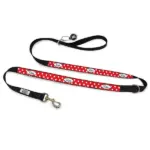 Personalised Dog Leash - Squiggle, Blue - Image 9