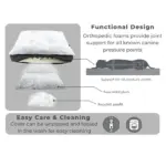 double dog pushchair - Professional Guide and Review