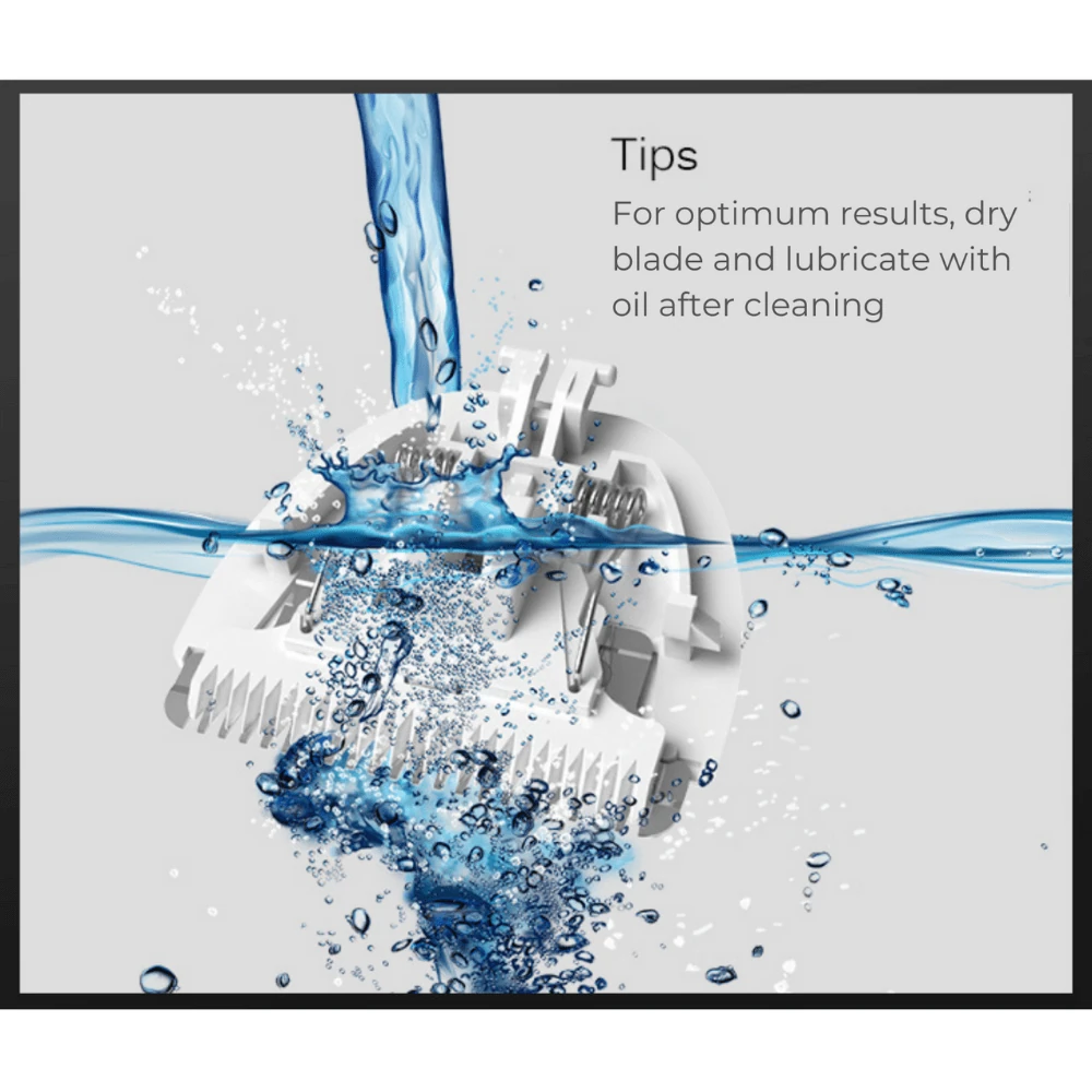 weatherproof dog kennel maintenance checklist showing seasonal adjustment points