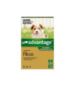 dog bed orthopedic - Professional Guide and Review