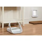 shampo cat - Professional Guide and Review