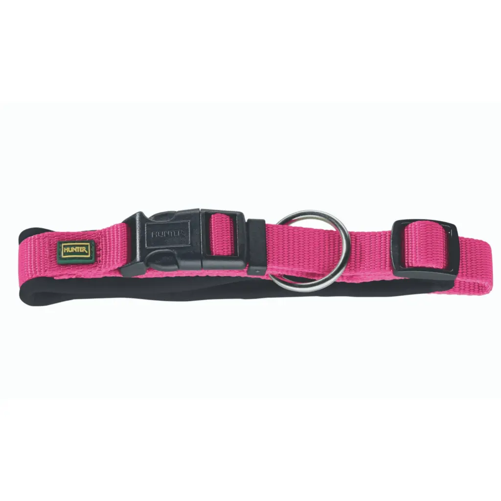 cat collars with airtag holder - Professional Guide and Review
