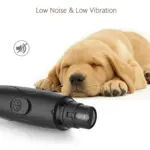 tag cat - Professional Guide and Review