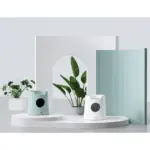 car seat for dog - Professional Guide and Review