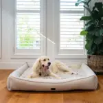 Orthopedic Dog Lounger Bed, Aspen Faux Fur - Image 4