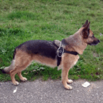 dog box curtains|dog car hammock australia - Image 5