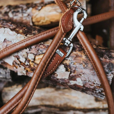 dog trailer bike suspension system comparison showing quality versus budget construction