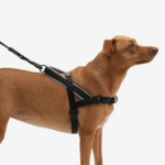 dog buggies and strollers|beige dog collar - Image 6