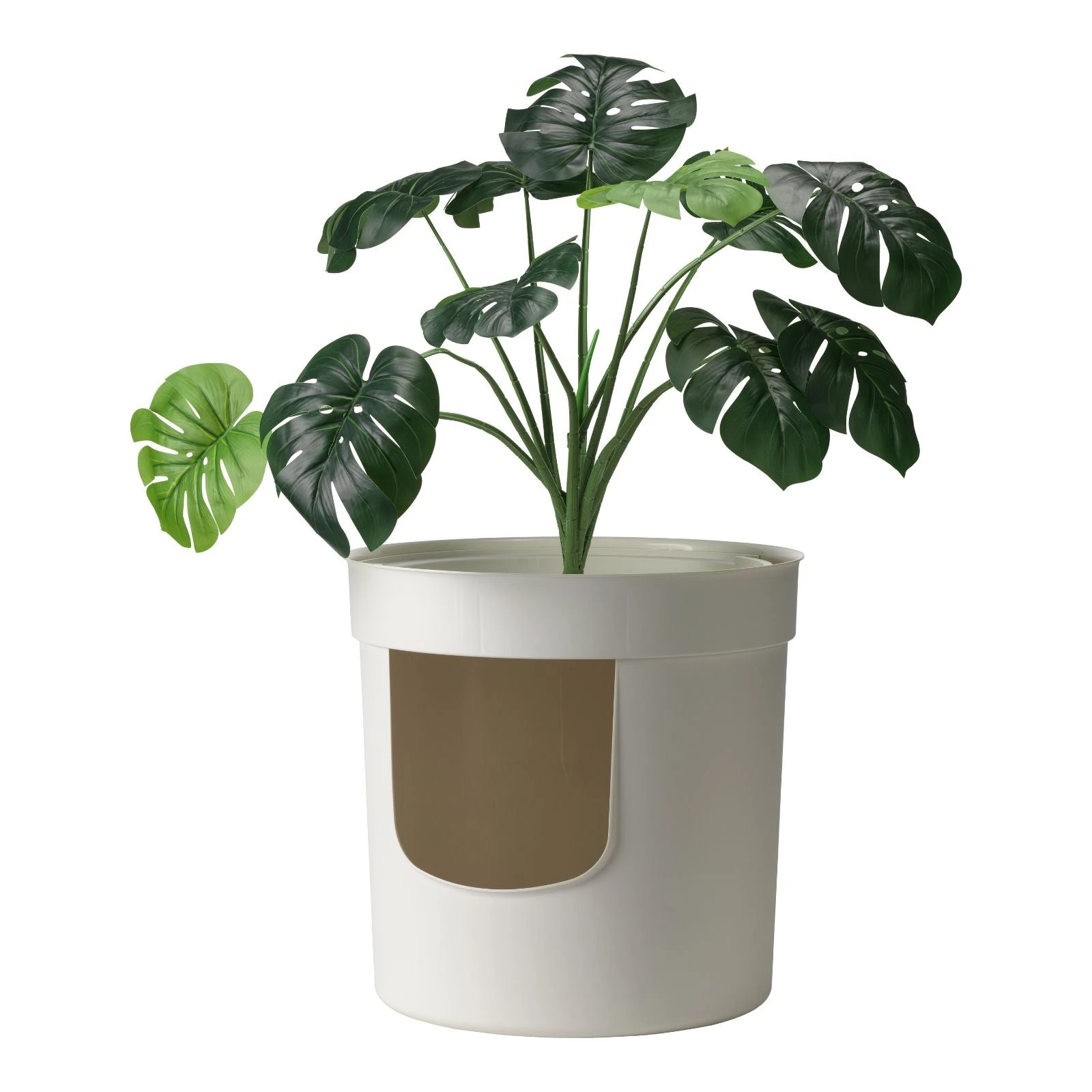 padded dog harness in modern apartment alongside hidden planter litter box