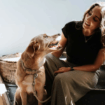 dog ramps and stairs - Professional Guide and Review