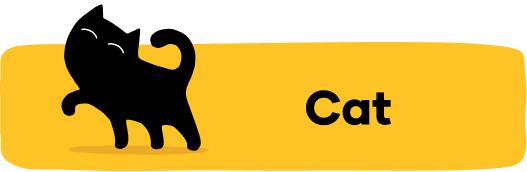 ceramic pet drinking fountain surrounded by British Shorthair cat and Labrador dog drinking together