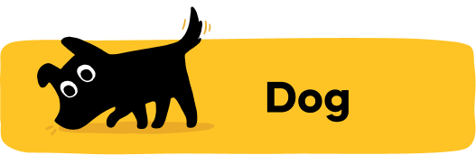 cat scratcher lounge positioned near sunny window in Australian home