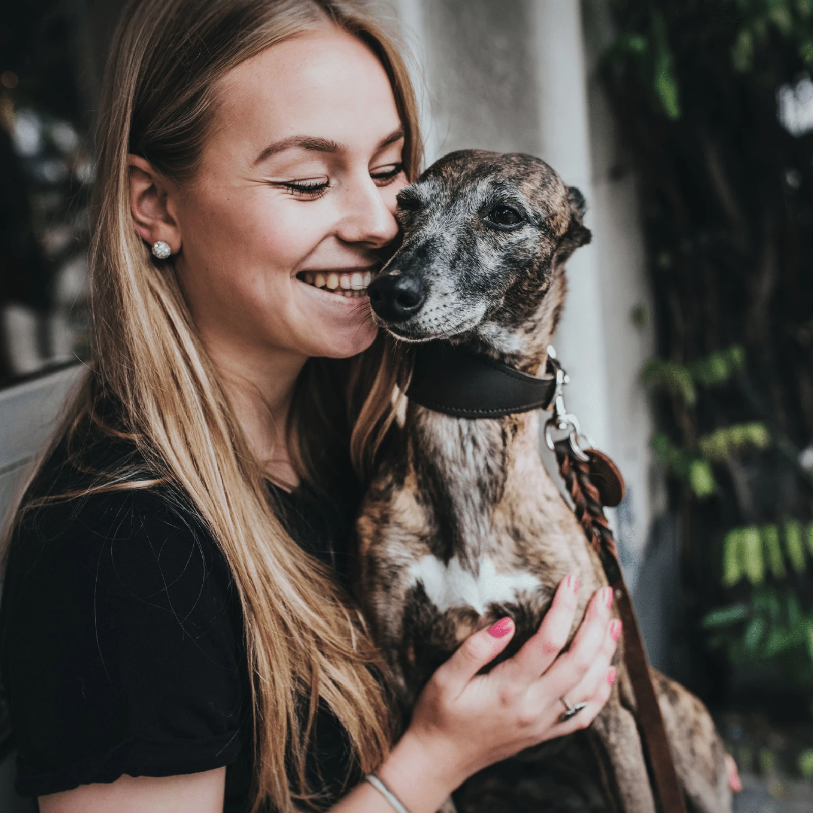 cat cube - Cat cube comparison lineup showing entry sizes and foam densities