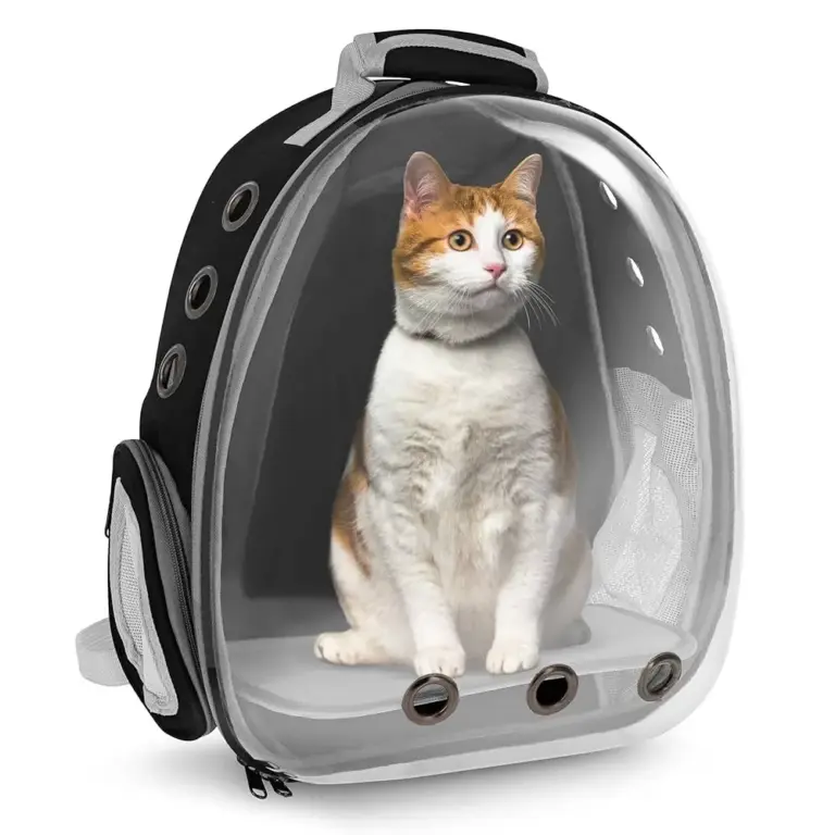 cat carrier cat bag